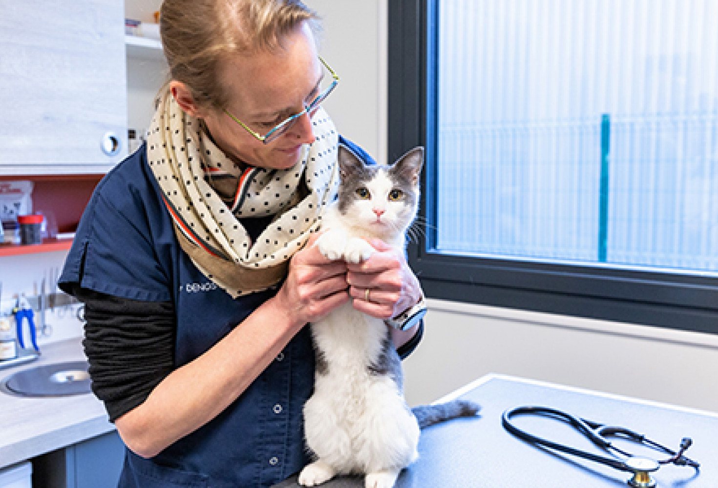 Une vétérinaire en blouse bleue et foulard à pois tient debout un chat gris et blanc sur une table d'examen, à côté d'un stéthoscope.
